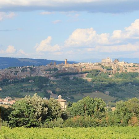 Agriturismo Borgo Pirolino Orvieto Eksteriør billede